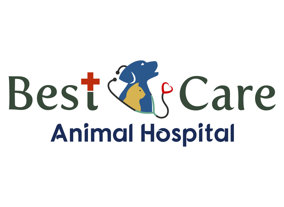 best care animal hospital teamholder