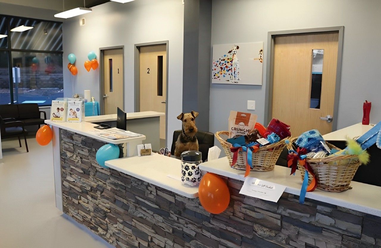 best care animal hospital reception