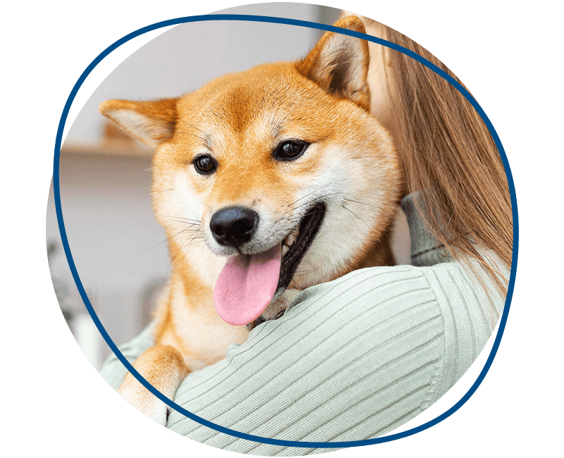 woman holding her dog her arms