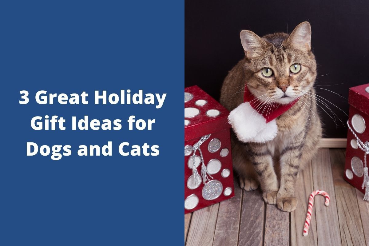 3-Great-Holiday-Gift-Ideas-for-Dogs-and-Cats