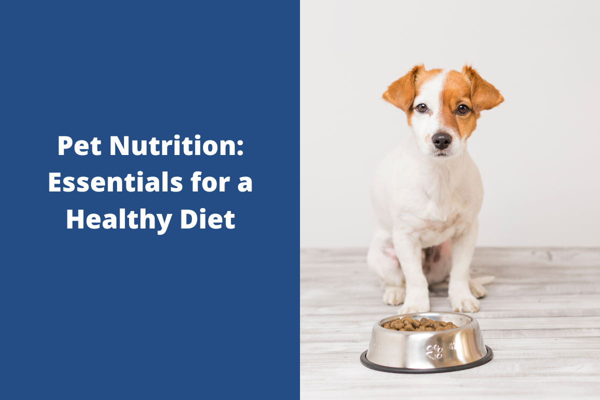 Pet-Nutrition-Essentials-for-a-Healthy-Diet-1