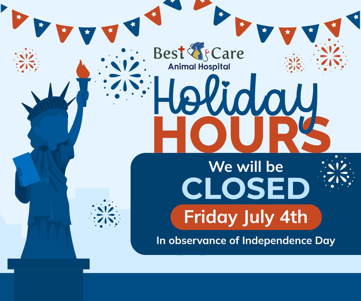 Pop-up announcing Park Road Animal Hospital will be closed Friday, July 4th in observance of Independence Day, featuring the Statue of Liberty and patriotic decorations.